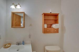 un bagno con lavandino, WC e specchio di Bear Lake Charming Apartment w Kitchen a Paris
