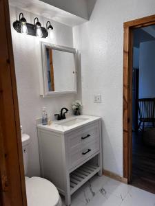 un bagno con lavandino, WC e specchio di Bear Lake Private Suite -Sleeps 5 -Historic Paris a Paris