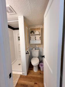 a bathroom with a toilet in a small room at Wake to views of Leech Lake in Walker