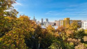 a view of a city with trees and buildings at TU CASA EN ESPAÑA Y PEATONAL - COCHERA PRIVADA INCLUIDA - Microcentro in Mendoza