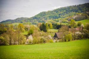 a green field with a house on a hill at Brvohořík in Valkeřice
