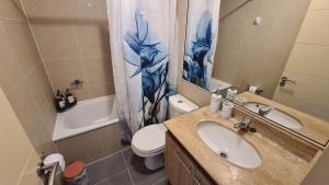 a bathroom with a sink and a toilet and a shower at Departamento Estudio Central in Temuco