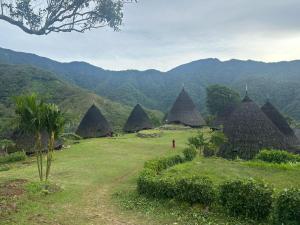 a view of a field with mountains in the background at D'Flora Homestay in Labuan Bajo