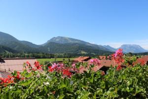 a group of flowers in the foreground with mountains in the background at Hotel Sonnleiten in Reit im Winkl