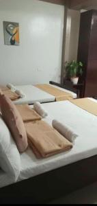 BariliにあるPacifico's Hostelの茶色の枕が付いたベッド3台
