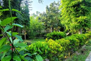 A garden outside Hotel Butterfly - Peaceful Garden for Nature Lovers