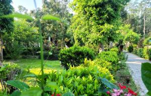 A garden outside Hotel Butterfly - Peaceful Garden for Nature Lovers