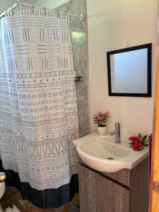 a bathroom with a sink and a shower curtain at Cabañas Tea Tea en Hanga Roa in Hanga Roa