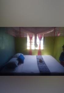 RewasauVaturua Homestay的一间卧室配有一张带天蓬和窗户的床