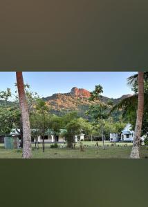 RewasauVaturua Homestay的远处的艾尔斯岩上有房屋和棕榈树