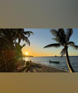 RewasauVaturua Homestay的棕榈树海滩和水中小船