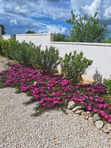 Vonkajšia záhrada v ubytovaní Villa Belvedere