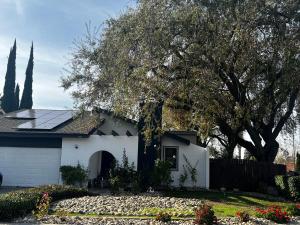 a white house with a tree and a fence at Spacious Home Steps from Huge Park and Outdoor Fun in San Jose