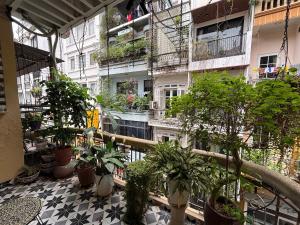 a balcony with potted plants on a building at An Thuong House - Hoan Kiem, Hanoi Center in Hanoi