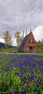 a barn with a field of purple flowers in front of it at Mestia Sunrise Cottage - 3BR Mountain Retreat in Mestia