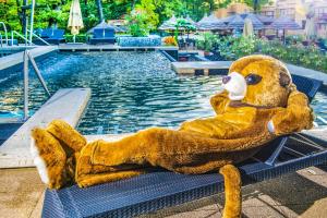 Bazén v ubytovaní Bambara Hotel alebo v jeho blízkosti