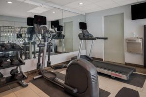 Fitness centrum a/nebo fitness zařízení v ubytování Radisson Hotel Grand Rapids Riverfront