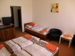 a living room with two beds and a chair at Salur in Nové Zámky