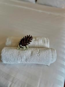 Fotografie z fotogalerie ubytování Moc Nha Minh Hotel Da Lat v destinaci Da Lat