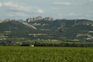 a large green field with mountains in the background at Le Mas O DI VIN in Rasteau