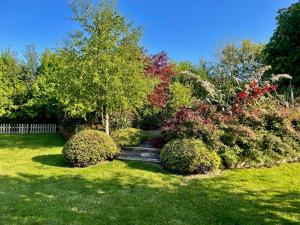 um jardim com arbustos e árvores e uma escadaria em The Conifers Studio Apartment With Private Garden em Wexford