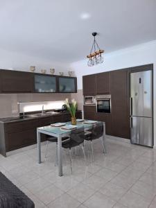 Η κουζίνα ή μικρή κουζίνα στο Villa Nicolas Plataria