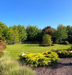 Um jardim no exterior de The Conifers Studio Apartment With Private Garden