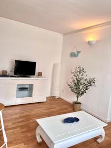 TV a/nebo společenská místnost v ubytování PORT DE HYERES - Appartement 40m2 - 4 personnes - place de PARKING + 6 fotografií