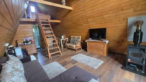 a living room with a couch and a tv and a wooden wall at Cabana A-frame Moon Predelut in Predeluţ