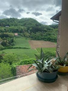 a balcony with two plants and a view of a field at camiBB in Castel del Rio