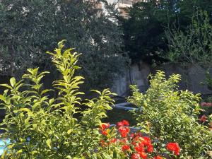 Gallery image of Guest House Begaj in Orikum