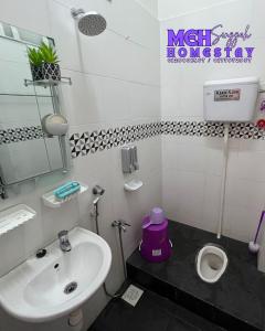 a small bathroom with a sink and a toilet at MEH Singgah Homestay, Sungai Udang in Kampong Alor