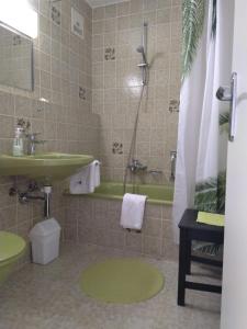 ミッセン・ヴィルハムスにあるFerienwohnung Morgentau mit Pool und Saunaのバスルーム(緑のシンク、シャワー付)