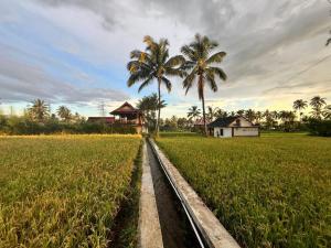 Zahrada ubytování Rice Field inn - Lombok
