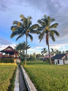 Zahrada ubytování Rice Field inn - Lombok