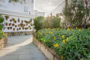 Κήπος έξω από το Apartamentos Blancala
