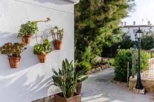 Κήπος έξω από το Apartamentos Blancala