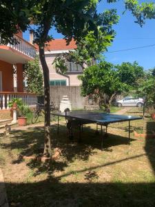 Stolní tenis v ubytování Bliss Inn Hostel & Tours nebo okolí