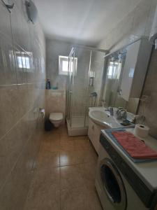 a bathroom with a shower sink and a washing machine at Depandans Stefan in Nevesinje
