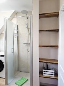 a shower with a glass door in a bathroom at Ferienhaus Xena in Biendorf +52 photos