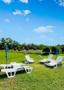 シオーフォクにあるQuirky Park - Pool, hot tub, cold plunge, sauna and exclusive party roomの野原白いラウンジチェア群