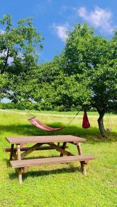 シオーフォクにあるQuirky Park - Pool, hot tub, cold plunge, sauna and exclusive party roomのハンモックと木のあるピクニックテーブル