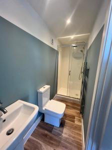 ein Badezimmer mit Toilette, Waschbecken und Dusche in der Unterkunft roof tops apartment in Ilfracombe