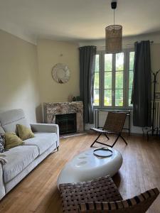 ein Wohnzimmer mit Sofa und Kamin in der Unterkunft Bord de l'eau, grand appartement in Saint-Pryvé-Saint-Mesmin