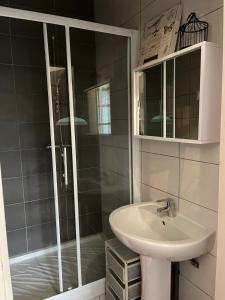 ein Badezimmer mit Dusche und Waschbecken in der Unterkunft Bord de l'eau, grand appartement in Saint-Pryvé-Saint-Mesmin