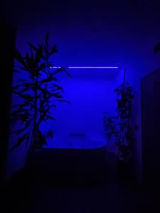 Imagine din galeria proprietății Jacuzzi Katowice chill room în Katowice