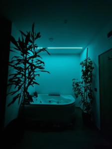 Gallery image of Jacuzzi Katowice chill room in Katowice