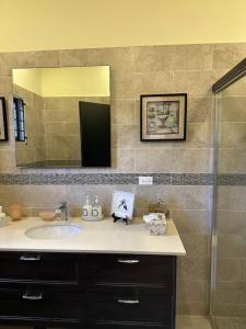 a bathroom with a sink and a mirror and a shower at Villa Christine in Ocho Rios