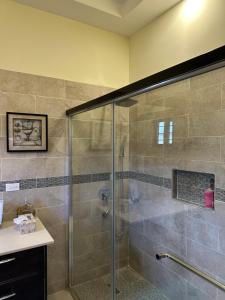 a bathroom with a shower with a glass door at Villa Christine in Ocho Rios