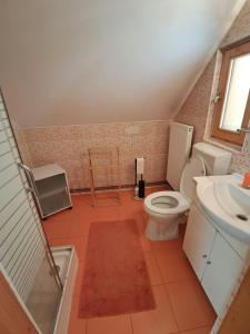 a bathroom with a toilet and a sink at Casa Adimi in Sighişoara